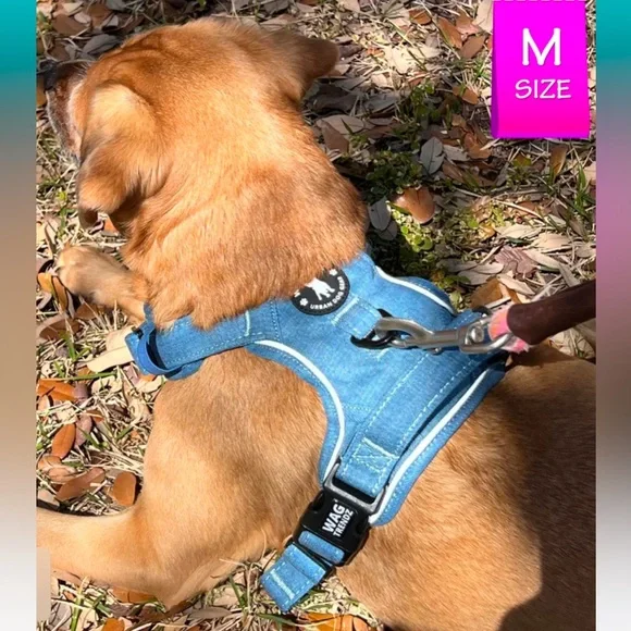 Dog Harness, No Pull - Picture 15 of 15